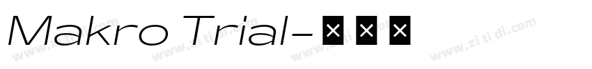 Makro Trial字体转换